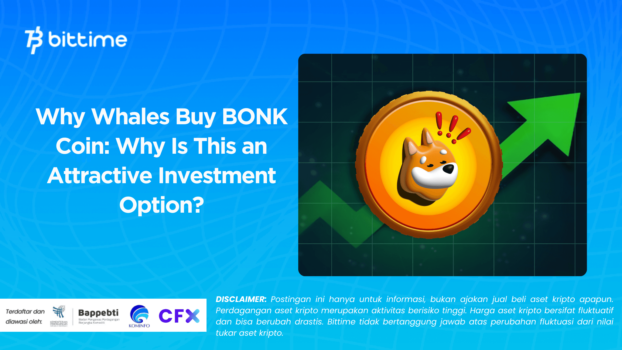 Why Whales Buy BONK Coin: Why Is This an Attractive Investment Option?