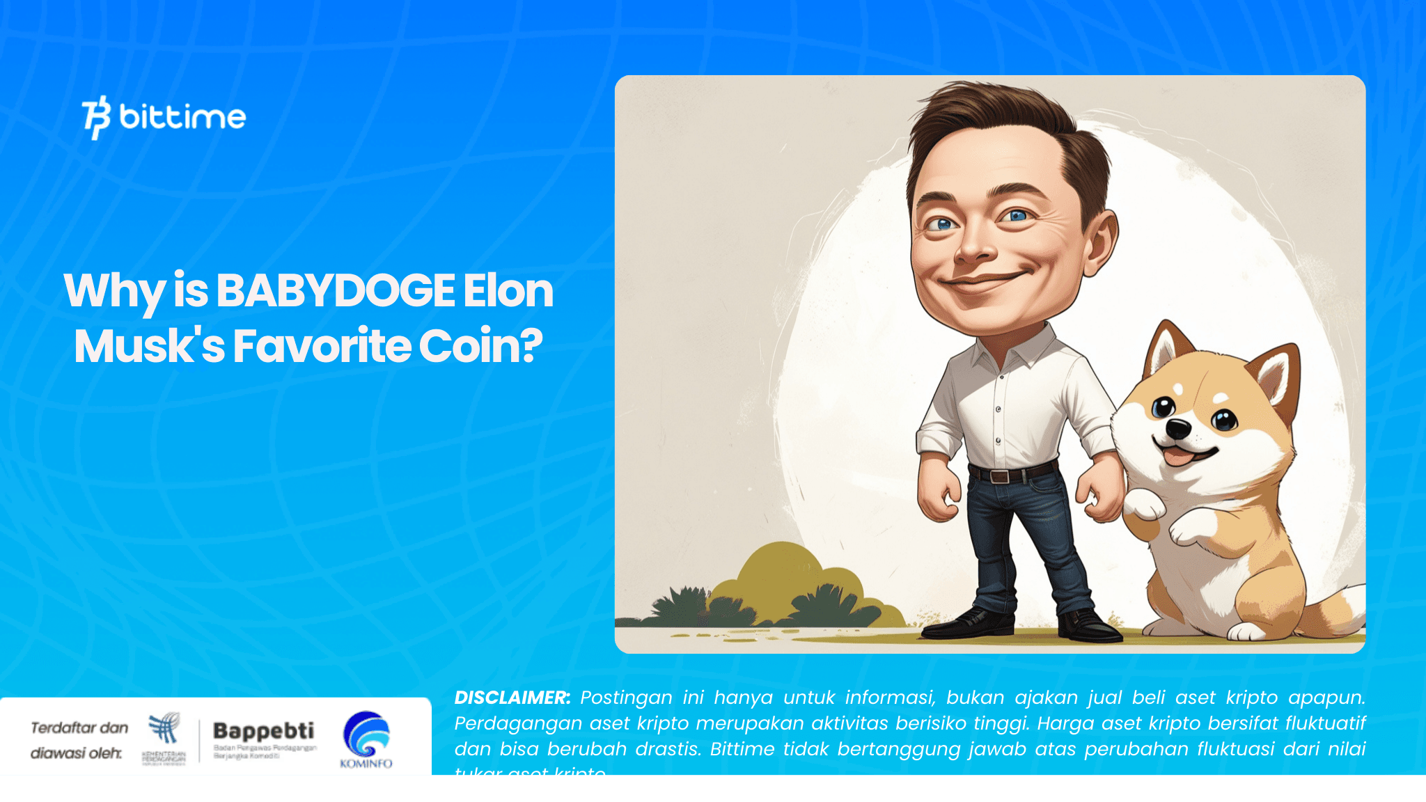 Why is BABYDOGE Elon Musk's Favorite Coin.png