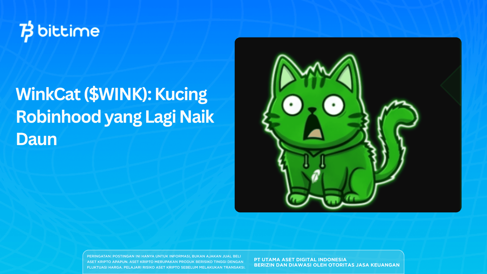 WinkCat ($WINK): Kucing Robinhood yang Lagi Naik Daun