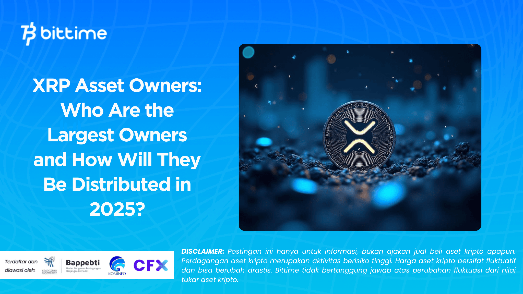 XRP Asset Owners: Who Are the Largest Owners and How Will They Be Distributed in 2025?