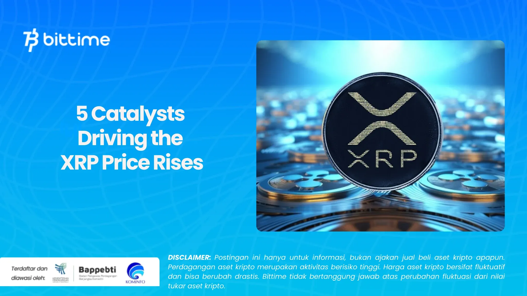 XRP Price Rises