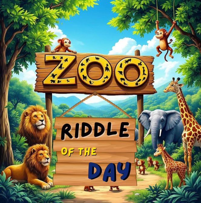 Zoo Riddle of The Day 24 Januari 2025 Jawaban Hari Ini