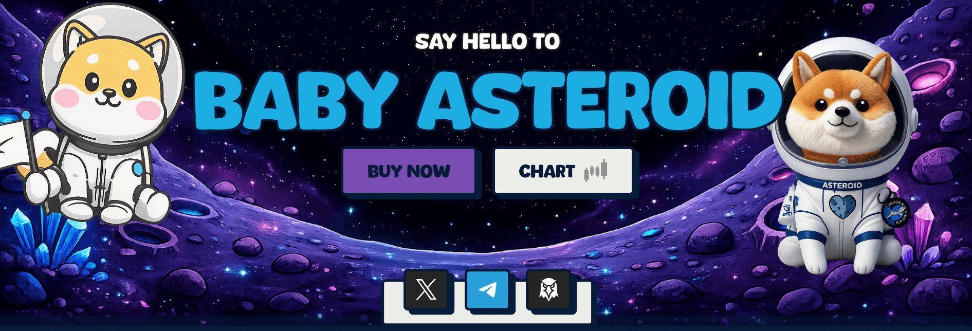 apa itu baby asteroid coin