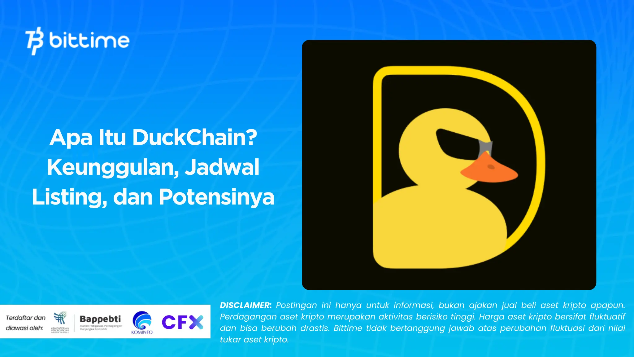 apa itu duckchain.webp