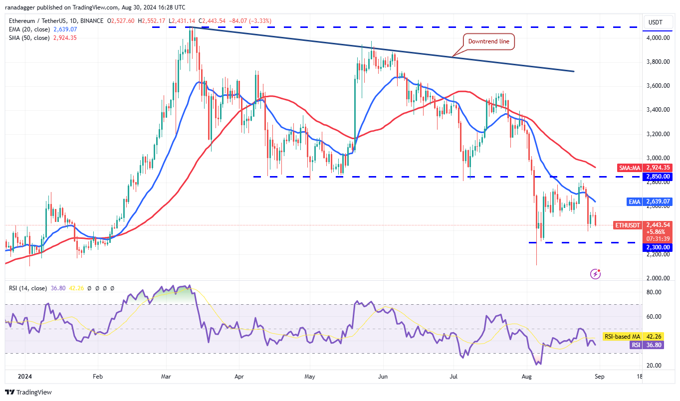 Analisis Harga Kripto Terbaru: BTC, ETH, BNB, SOL, XRP, dan TON