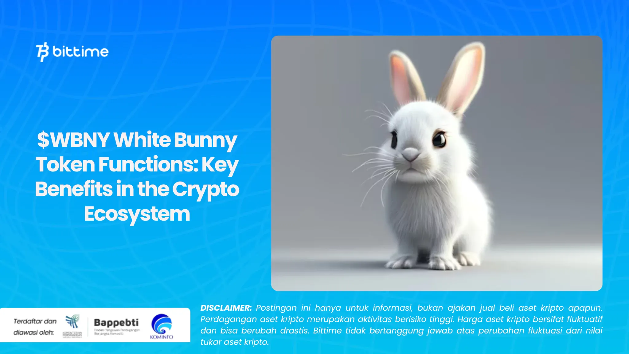 $WBNY White Bunny Token Functions: Key Benefits in the Crypto Ecosystem