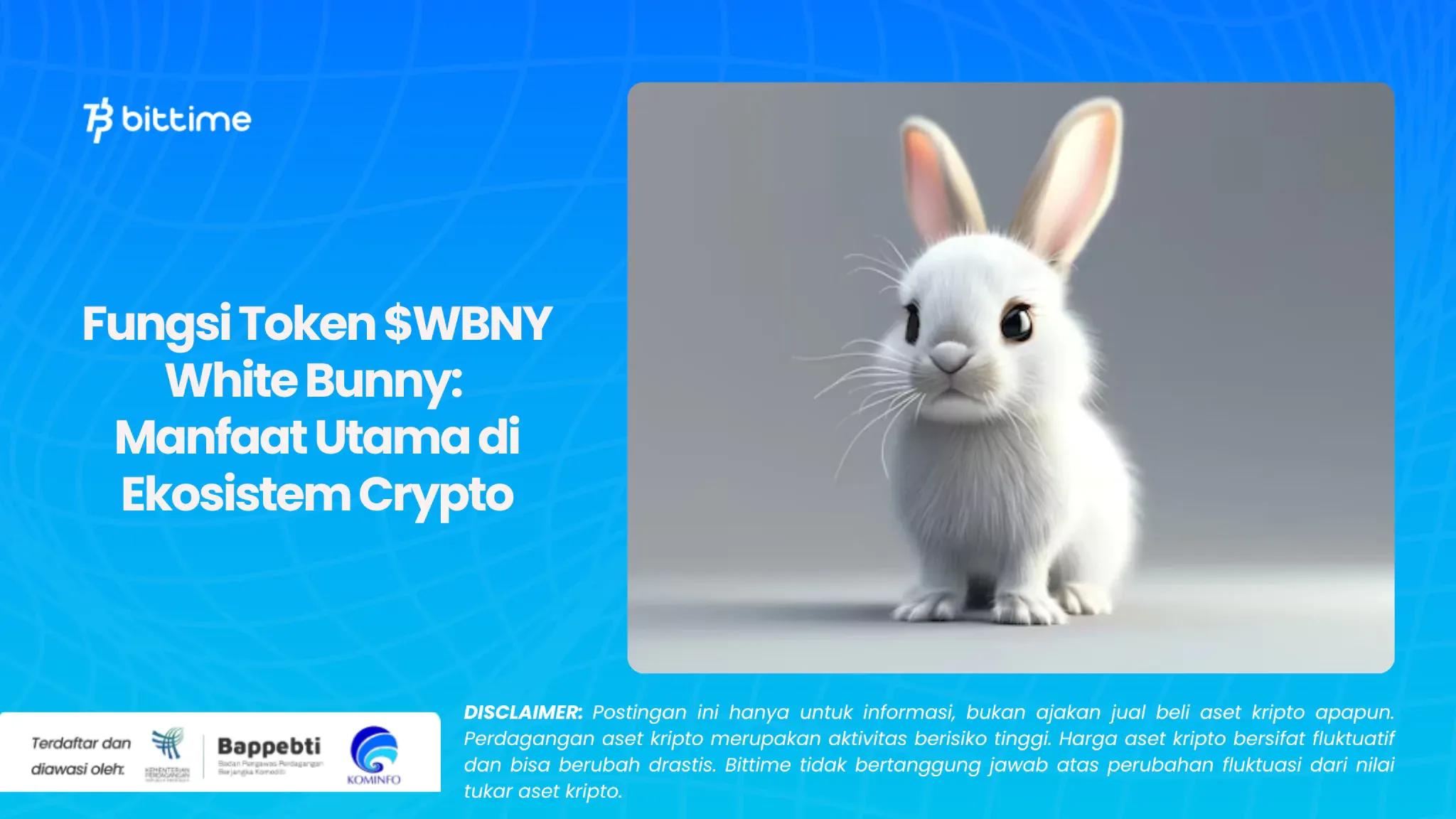 Fungsi Token $WBNY White Bunny: Manfaat Utama di Ekosistem Crypto