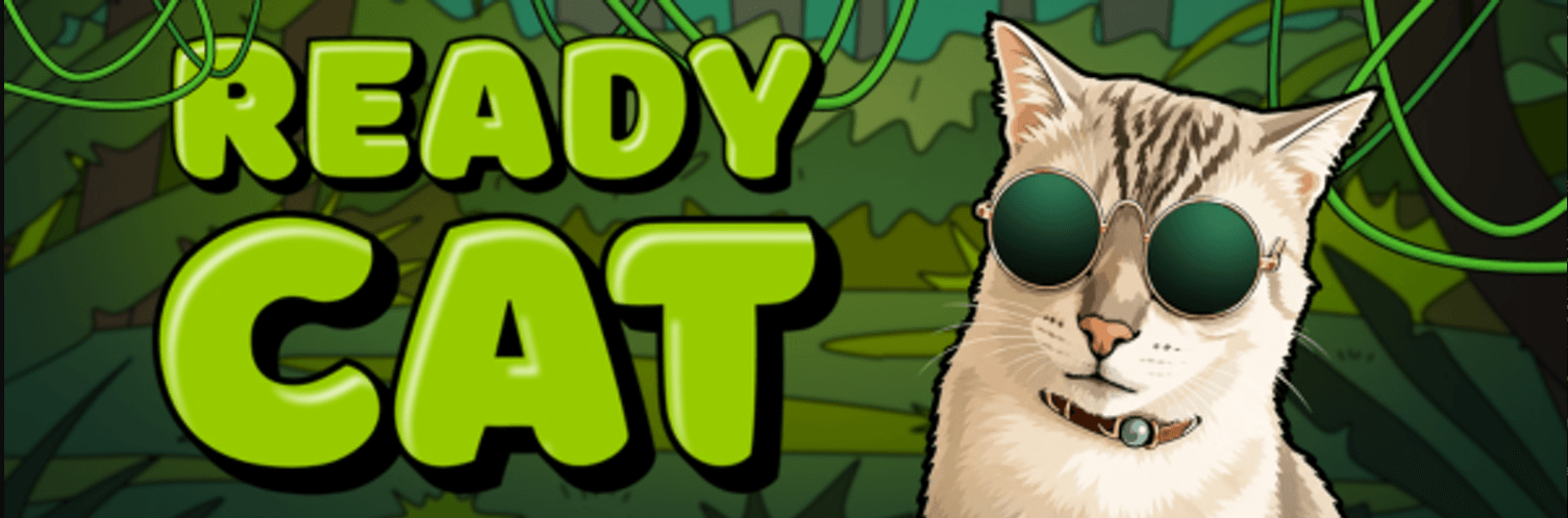 READY CAT Crypto: Apa Itu?