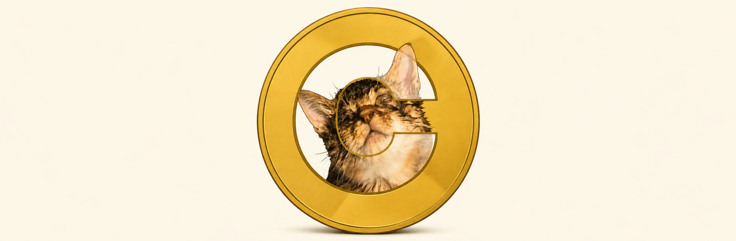 Apa Itu Catecoin (CATE)? Meme Coin Kucing dari Solana