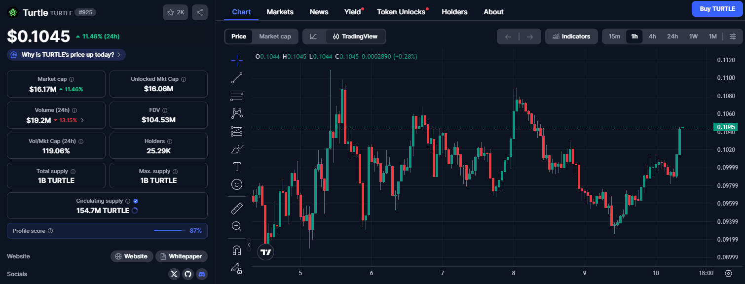 Apa itu Turtle TURTLE