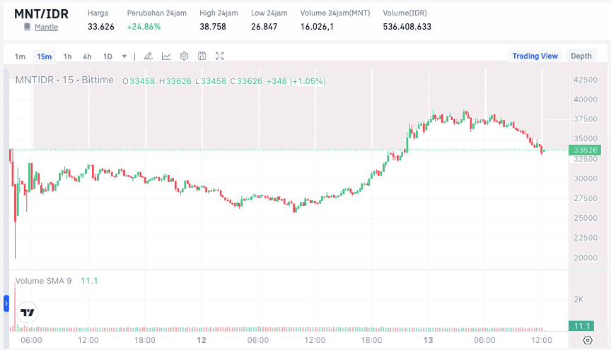 Harga MNT.png