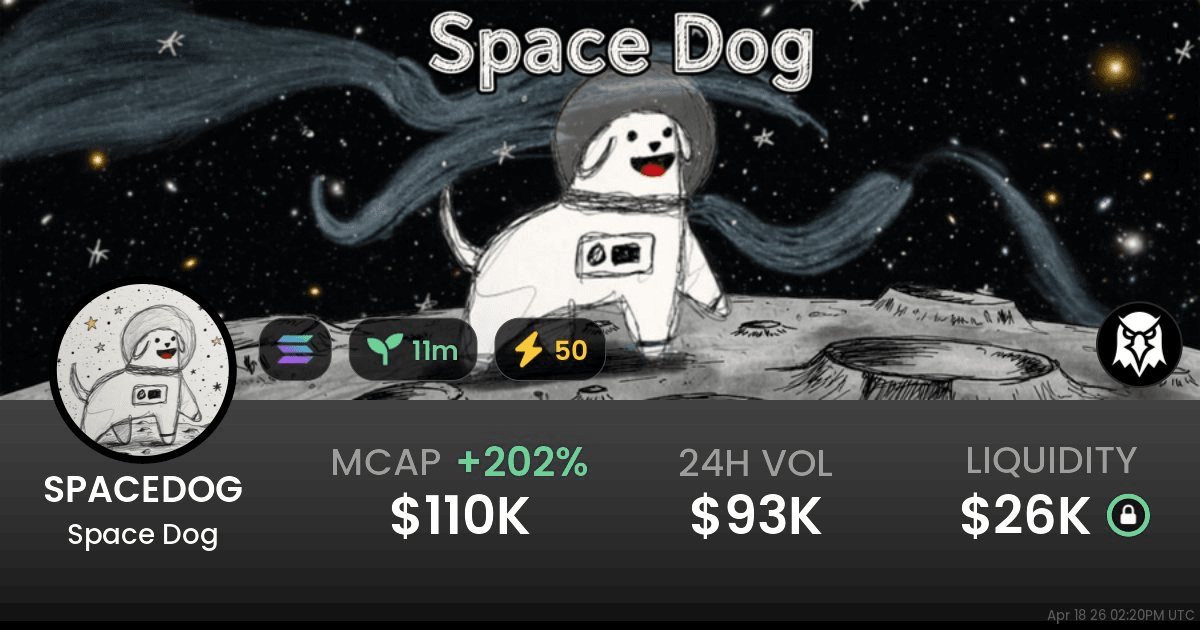 Apa Itu Space Dog