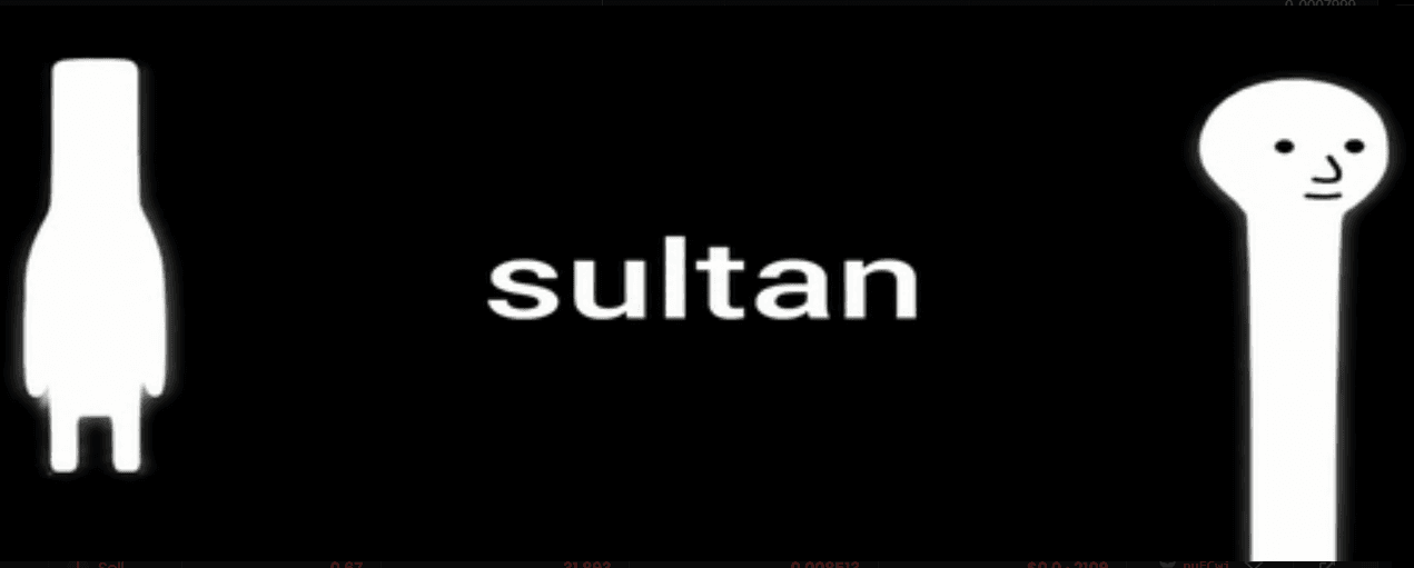 Sultan Coin Viral: Apa yang Membuat Meme Coin Ini Disorot?