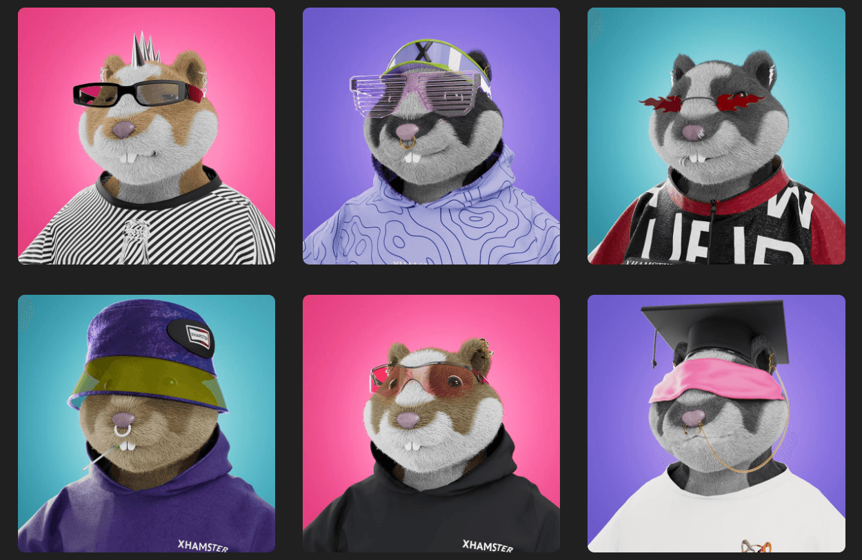 Apakah XHamster Punya Coin Resmi atau NFT?