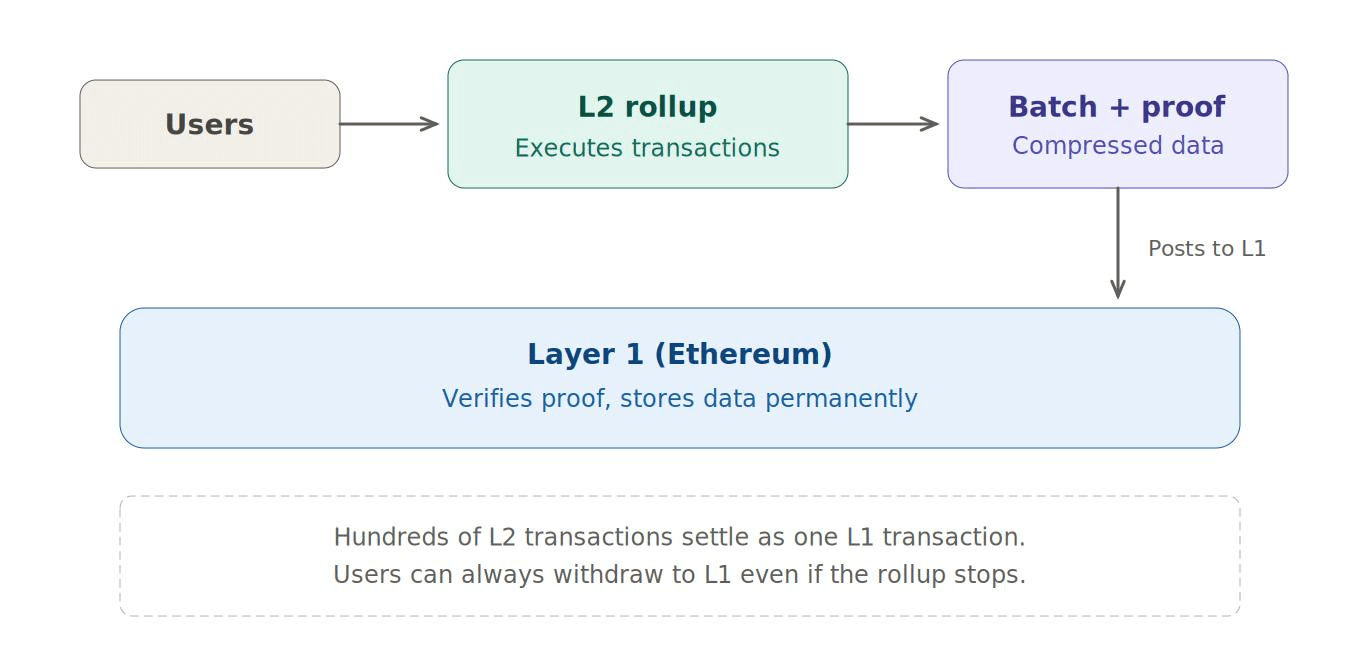 What Is Layer 2? Here’s How L2 Makes Money from Ethereum