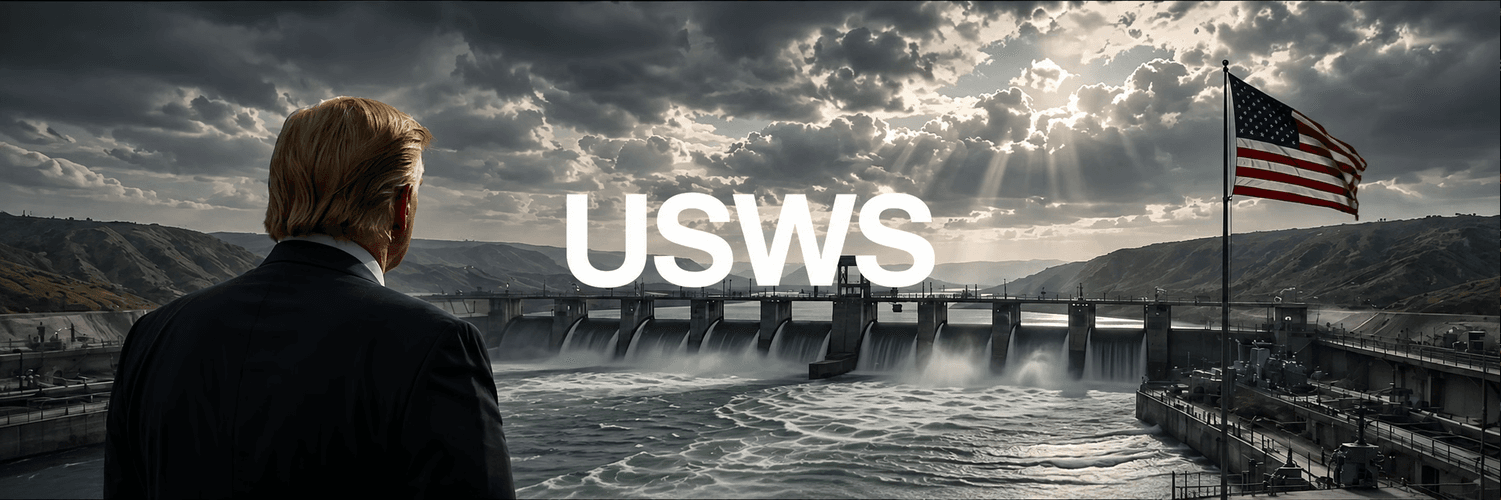 United States Water Supply Coin: Analisis Harga USWS dan Fungsinya