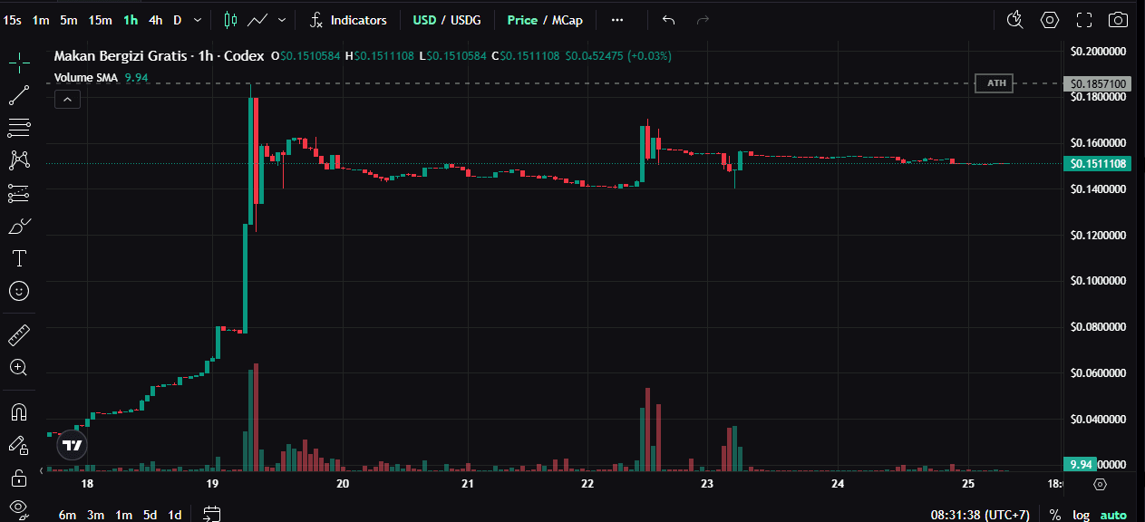 MBG Coin Legit or a Scam? Here Are the Facts and Risks You Need to Know