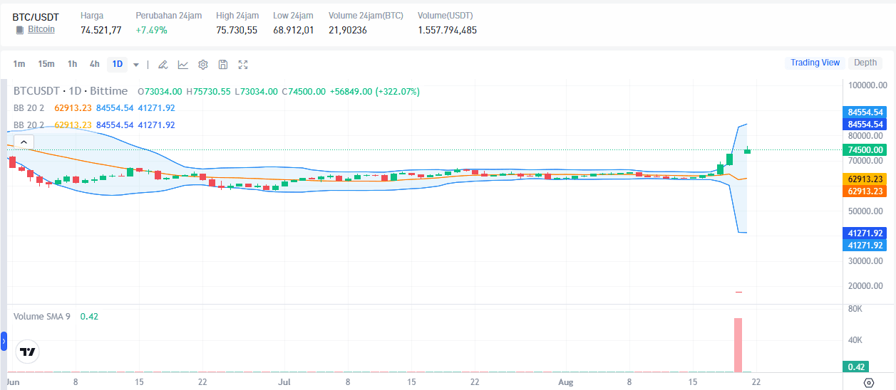 Bitcoin Price: Analysis and Prediction of BTC's Rise