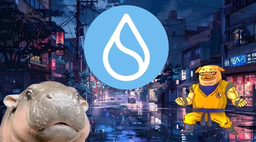 meme coin sui.