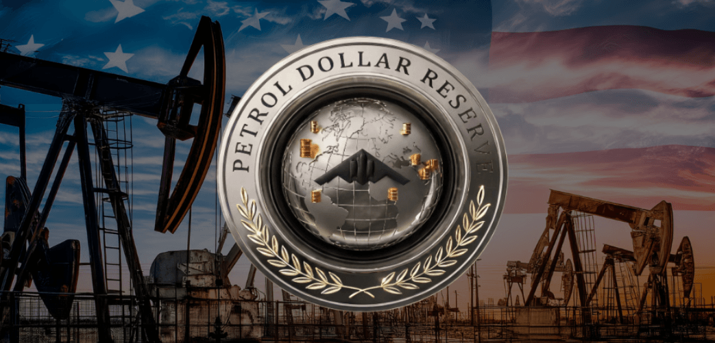 petrol dollar reserve PDR crypto