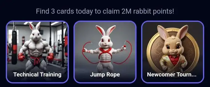 rocky rabbit daily combo 19 agustus.webp