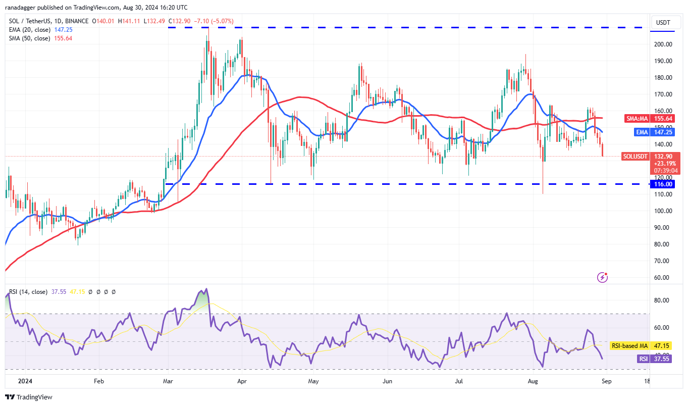 Analisis Harga Kripto Terbaru: BTC, ETH, BNB, SOL, XRP, dan TON