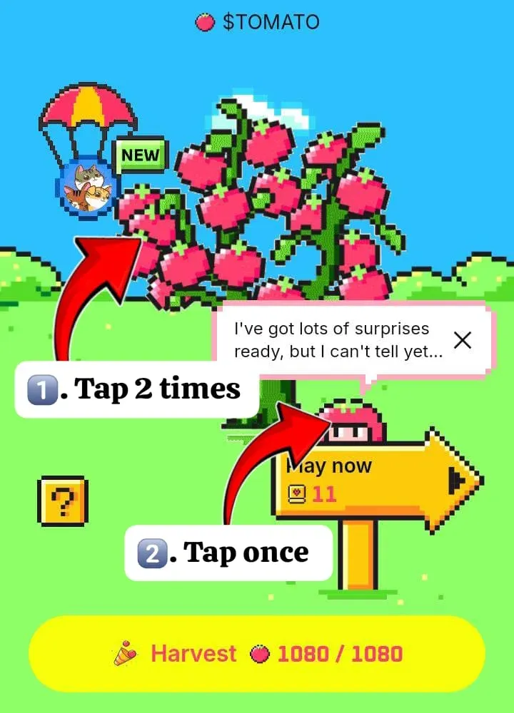 Tomarket Daily Combo 25 Agustus Dapatkan 2500 Tomat Hari Ini.webp