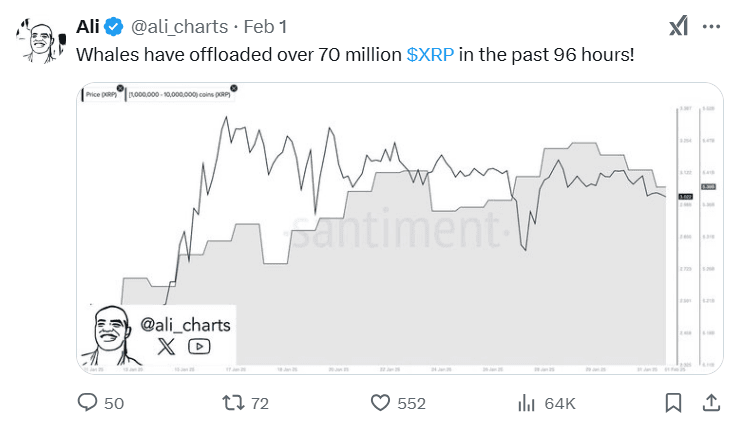 whale xrp.png