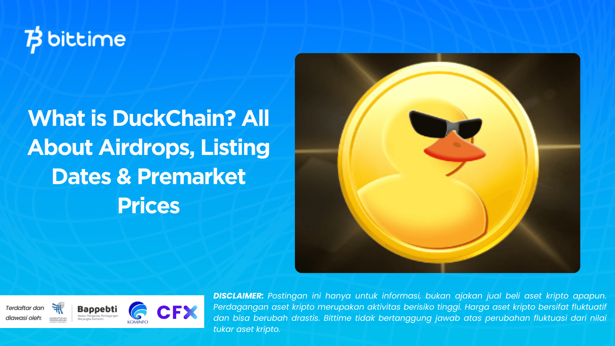 what is duckchain.png