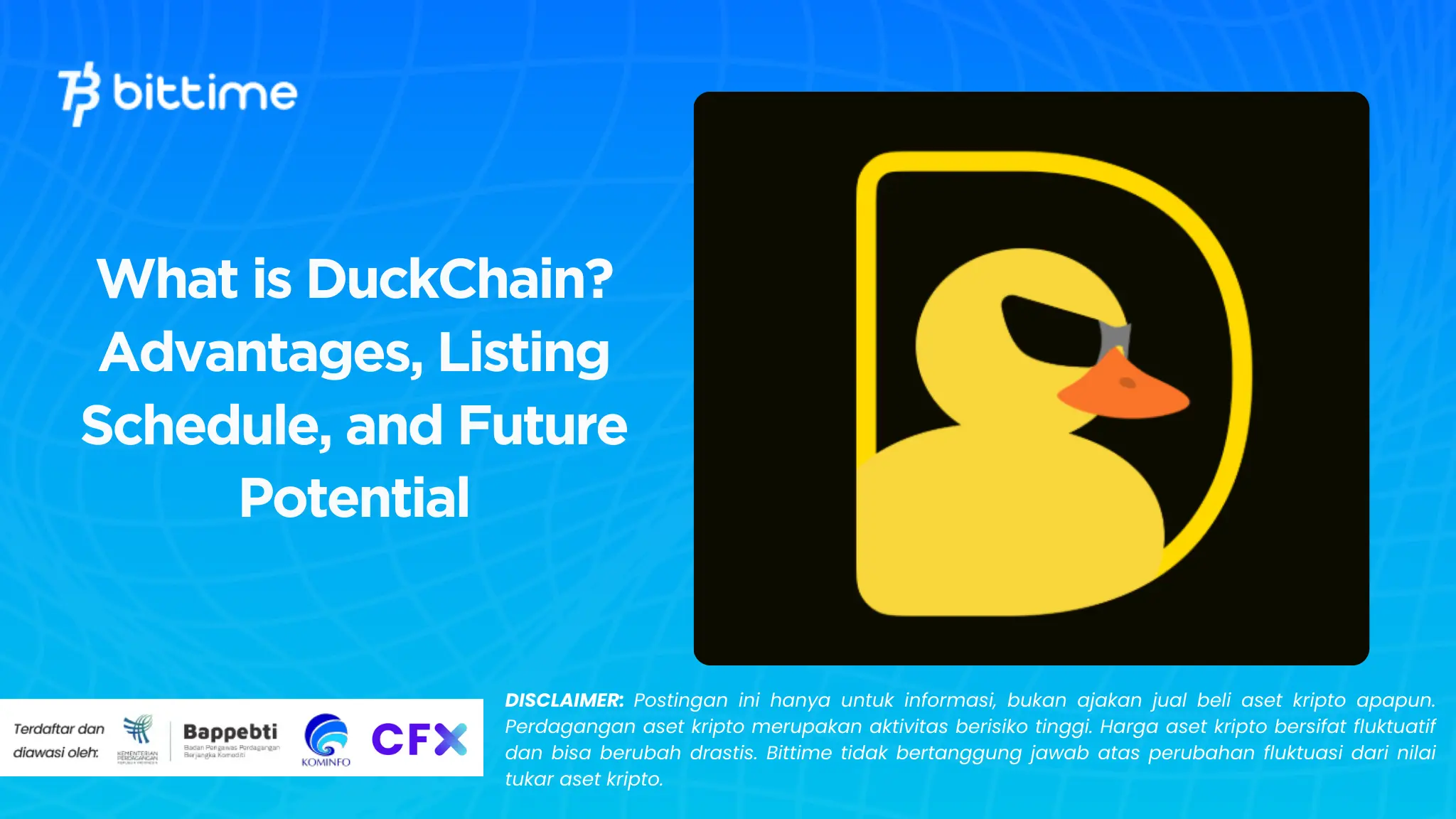 what is duckchain.webp