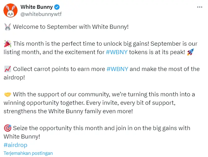 white bunny listing september.webp