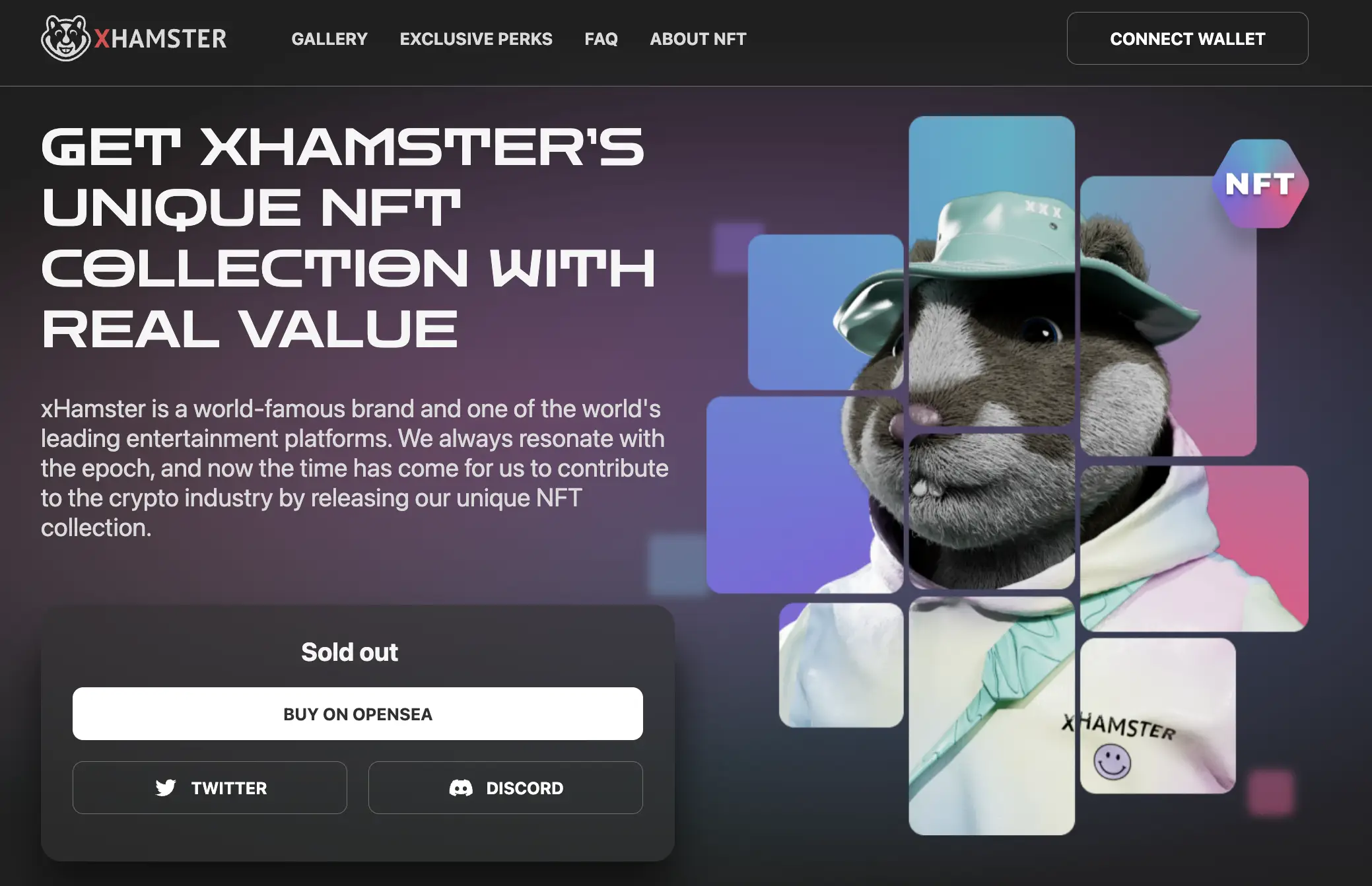 xHamster NFT vs NFT Lain Apakah Proyek Ini Punya Masa Depan - website.webp