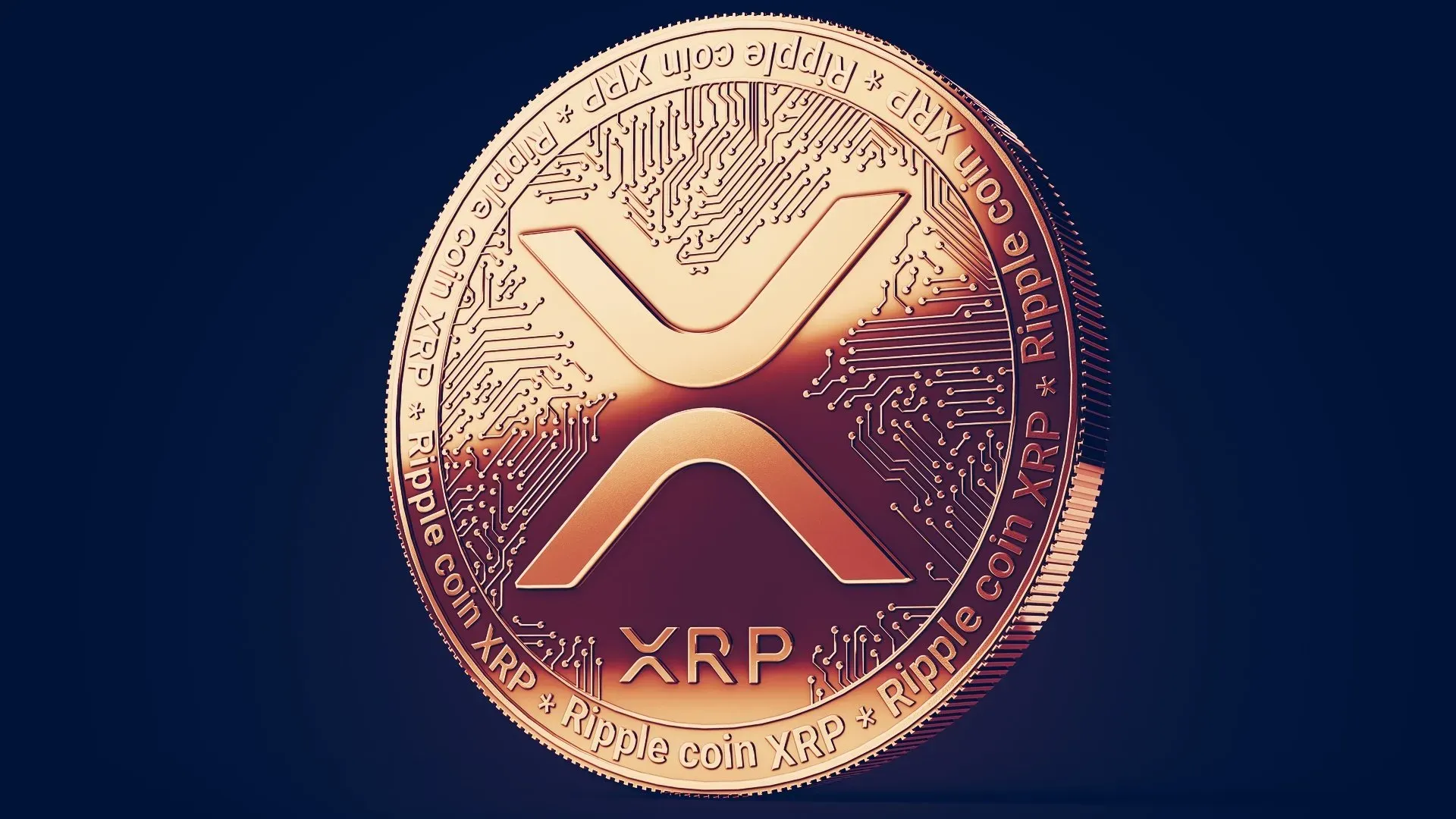 David Schwartz Ingin Harga XRP Naik Reaksi dari Komunitas